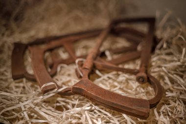 Çikolatadan yapılmış araç figürleri Lviv, Ukrayna 'dan satın almak için çok popüler..