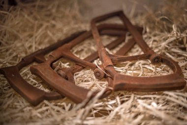 Çikolatadan yapılmış araç figürleri Lviv, Ukrayna 'dan satın almak için çok popüler..