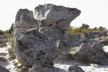 Varna, Bulgaristan yakınlarındaki Taş Ormanı Pobiti Kamani