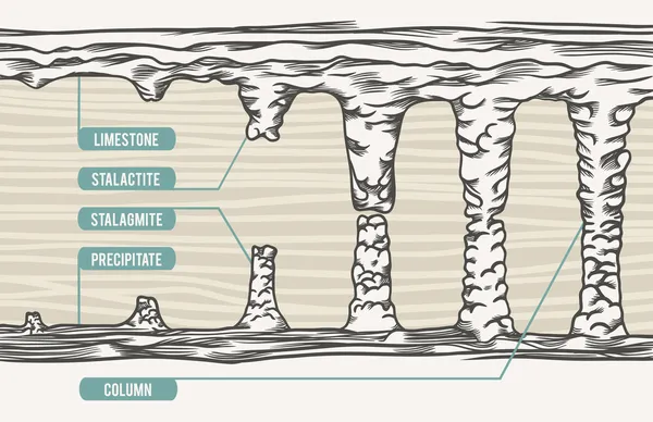 Illustrazione vettoriale, stalattite, stalagmite, colonna, testo — Vettoriale Stock