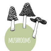 Черно-Белые Картинки Грибов