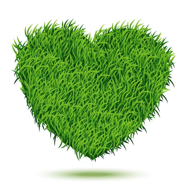 Heart Green Grass — Stock Vector