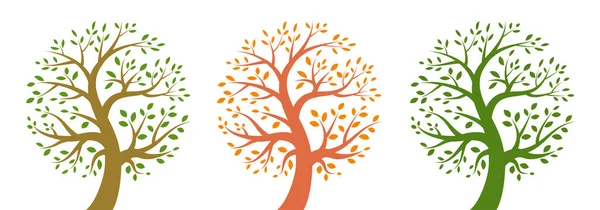 Set di icone dell'albero. Logo della vita. Insegne per le piante. Emblema ambientale. Simbolo naturale. Icona biologica. Illustrazione vettoriale — Vettoriale Stock