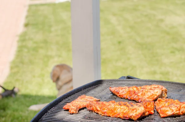 Spareribs on grill with hot marinade — Stock Photo, Image