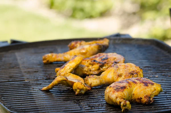 Pollo a la parrilla con yogur de cúrcuma —  Fotos de Stock