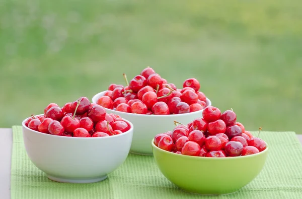 Juicy cherry on garden — Stock Photo, Image