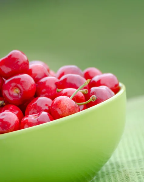 Juicy cherry on garden – stockfoto