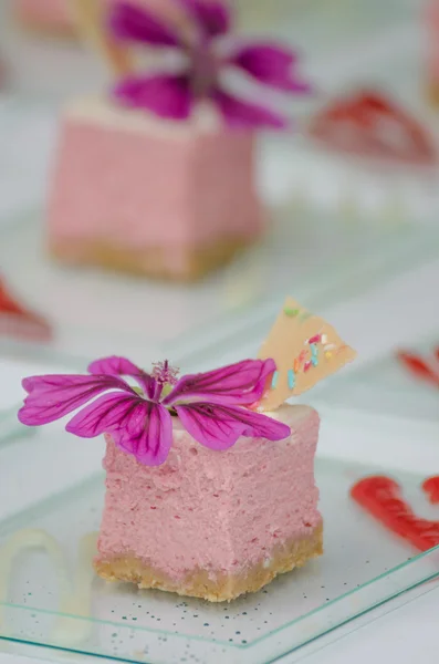 Tarta de queso de frambuesa, galletas —  Fotos de Stock