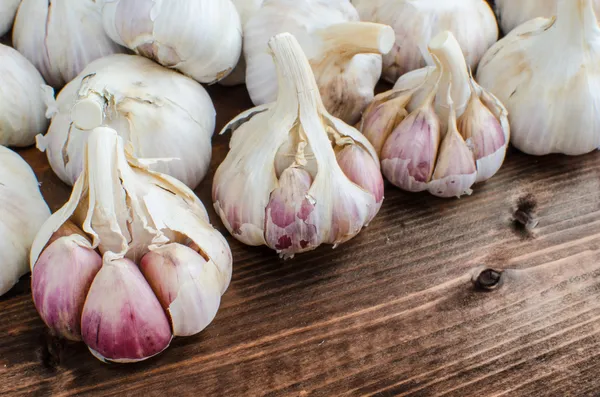 Bio garlic from bio herbs garden — Stock Photo, Image