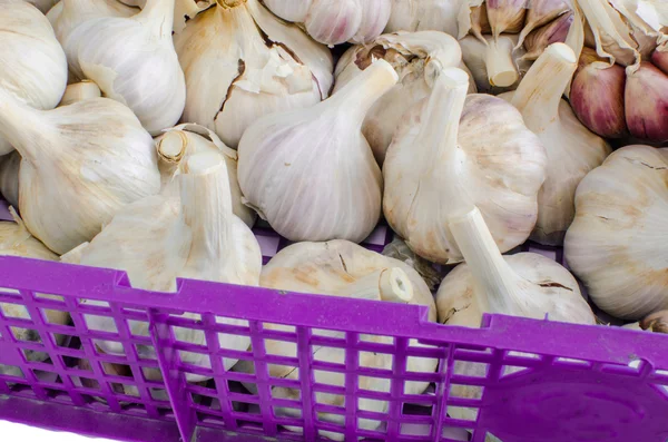 Bio garlic from bio herbs garden — Stock Photo, Image