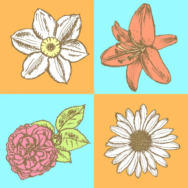 百合、 雏菊和玫瑰，水仙素描矢量无缝模式 — 图库矢量图片