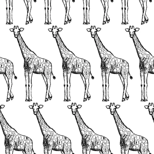 Sketch giraffe, vector vintage seamless pattern — Stock Vector