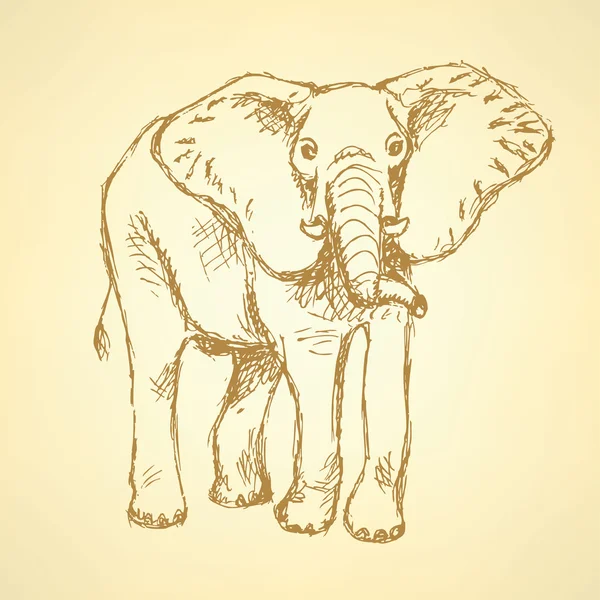 Esquisse éléphant, fond vintage vectoriel — Image vectorielle