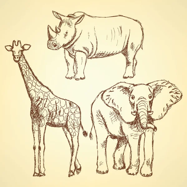 Skizze Giraffe, Elefant, Nashorn, Vektorhintergrund — Stockvektor