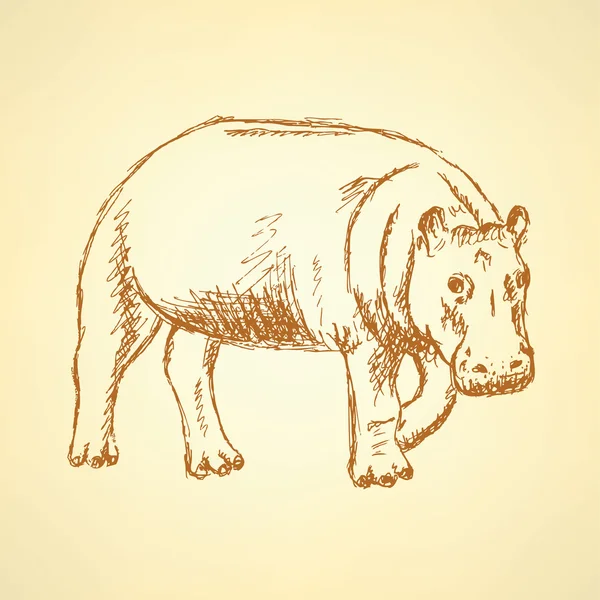Bosquejo hipopótamo, vector vintage fondo — Archivo Imágenes Vectoriales