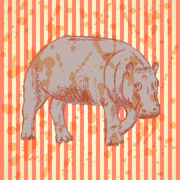 Bosquejo hipopótamo, vector vintage fondo — Archivo Imágenes Vectoriales