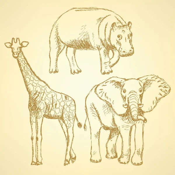 Esquisse éléphant, girafe et hippopotame, fond vectoriel — Image vectorielle