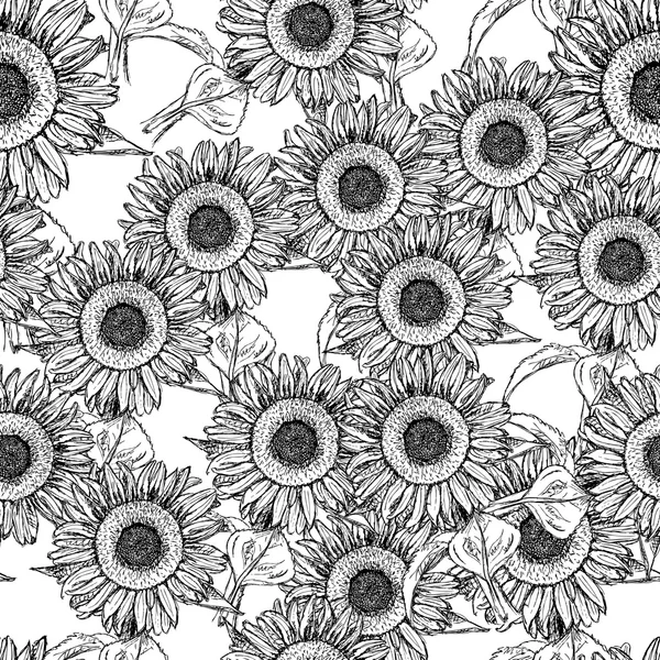 Sketch sunflower, vector vintage seamless pattern — Stock Vector