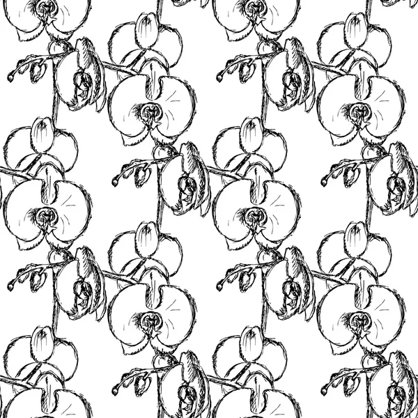 Sketch orchid, vector vintage seamless pattern — Stock Vector