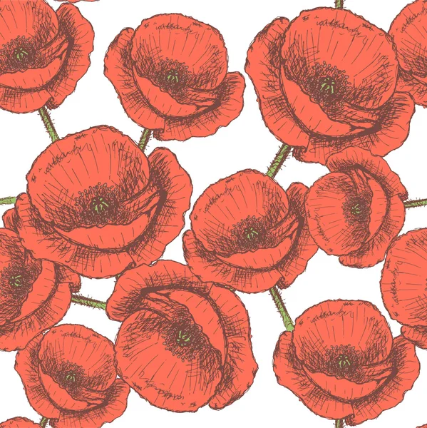 Sketch poppy, vector vintage seamless pattern — Stock Vector