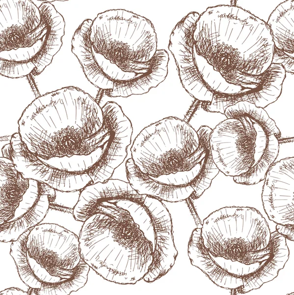 Sketch poppy, vector vintage seamless pattern — Stock Vector