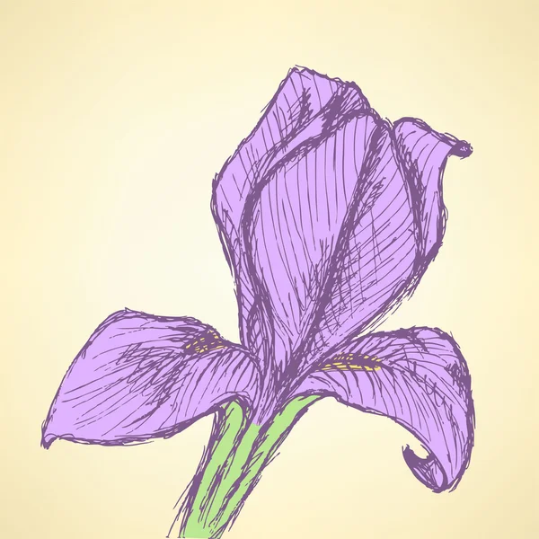 Croquis iris, fond vintage vectoriel — Image vectorielle