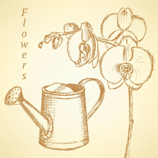 Boceto orquídea y regadera, vector de fondo — Vector de stock