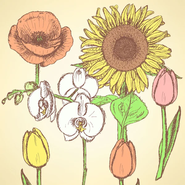 Schets bloemen, vector vintage achtergronden — Stockvector