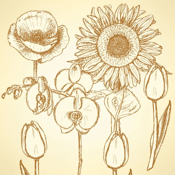 Croquis fleurs, arrière-plans vectoriels vintage — Image vectorielle