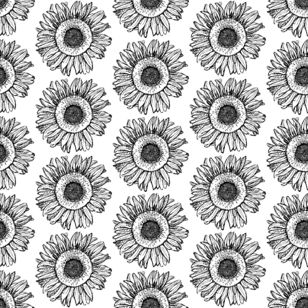 Sketch sunflower — Stock Vector