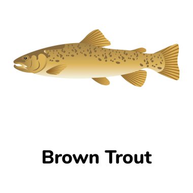 Balık ikonu. Web için vektör simgelerinin düz çizimi