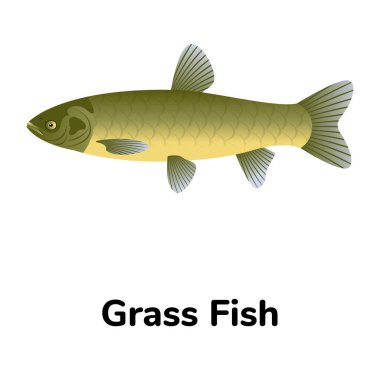 Balık ikonu. vektör illüstrasyonu