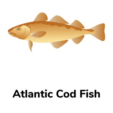 Balık vektör çizim tasarım