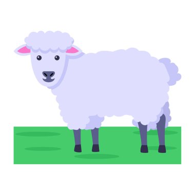 Hasır şapkalı şirin koyunlar.