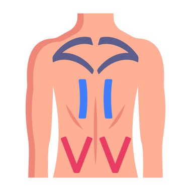 İnsan vücudu simgesi. Web için kas anatomisi vektör simgelerinin düz çizimi