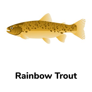 Balık ikonu. Web tasarımı için levrek vektör simgelerinin düz çizimi