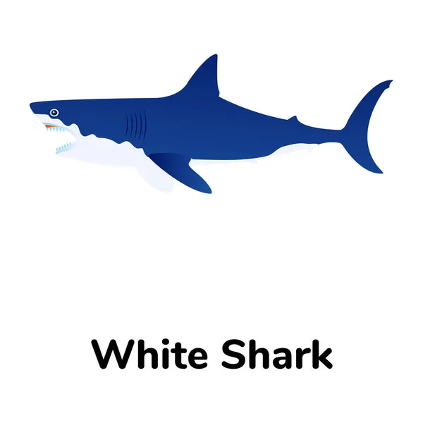 Icône Requin Illustration Vectorielle — Image vectorielle