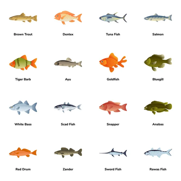 Σύνολο Ψαριών Ψαριών Θάλασσα Ενυδρείο Ωκεανός Και Άλλα Ζώα Εικονογράφηση — Διανυσματικό Αρχείο