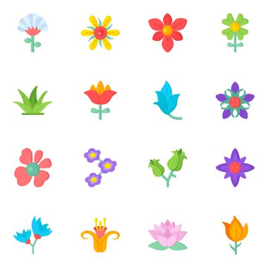 Çiçek ve yaprak seti, vektör illüstrasyonu