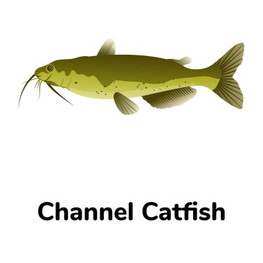 balık simgesi, beyaz arkaplanda vektör illüstrasyonu