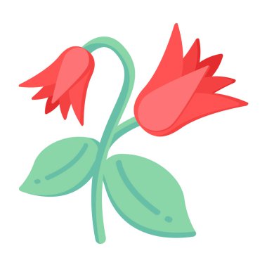 Beyaz arkaplanda güzel bir çiçek.