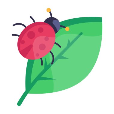 Uğur böceği ikon vektör illüstrasyon tasarımı
