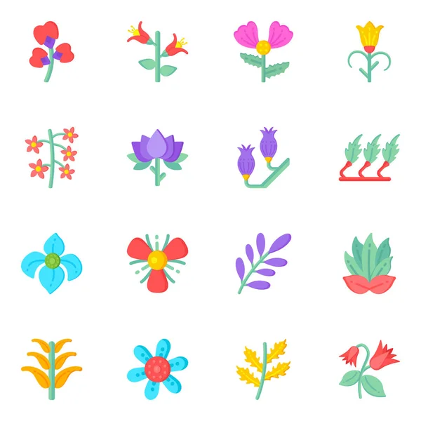 Набор Красивых Цветов Векторная Иллюстрация — стоковый вектор