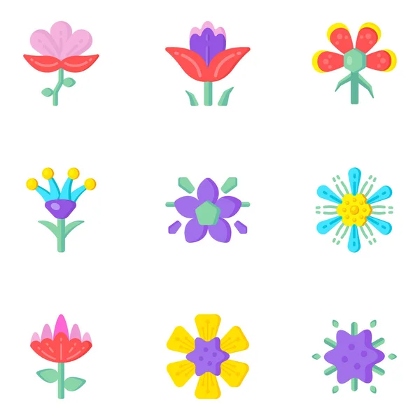 Set Beautiful Flowers Vector Illustration — Stock Vector
