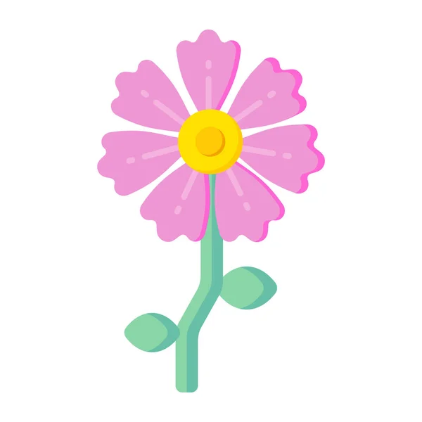 Schöne Blume Dekoration Design Vektor Illustration — Stockvektor