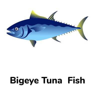  Ton balığının vektör çizimi
