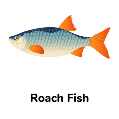 Balık ikonu. vektör illüstrasyonu  