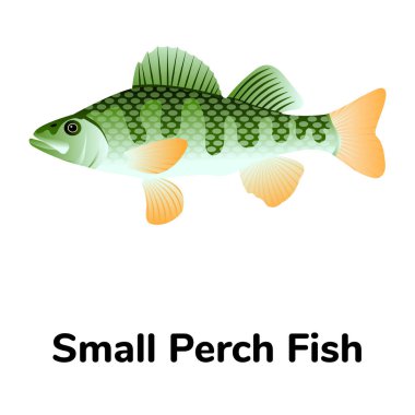 Balık ikonu. vektör illüstrasyonu  