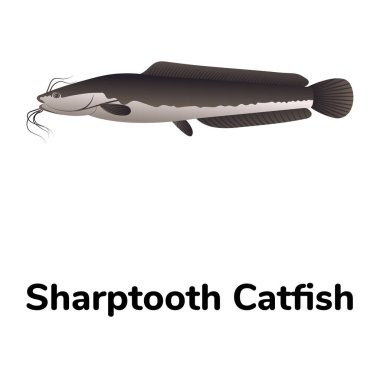 Balık ikonu. vektör illüstrasyonu  