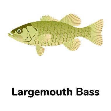 Balık ikonu. vektör illüstrasyonu  